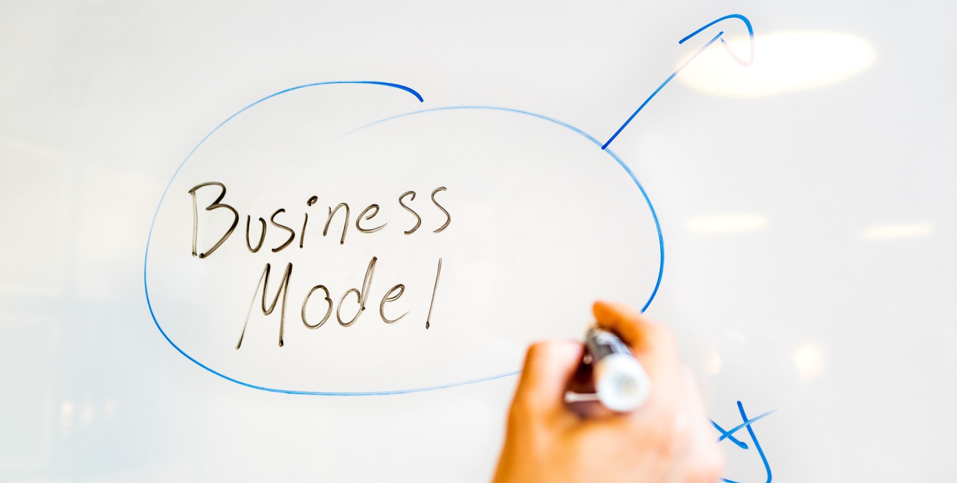 Бизнес-модель проекта