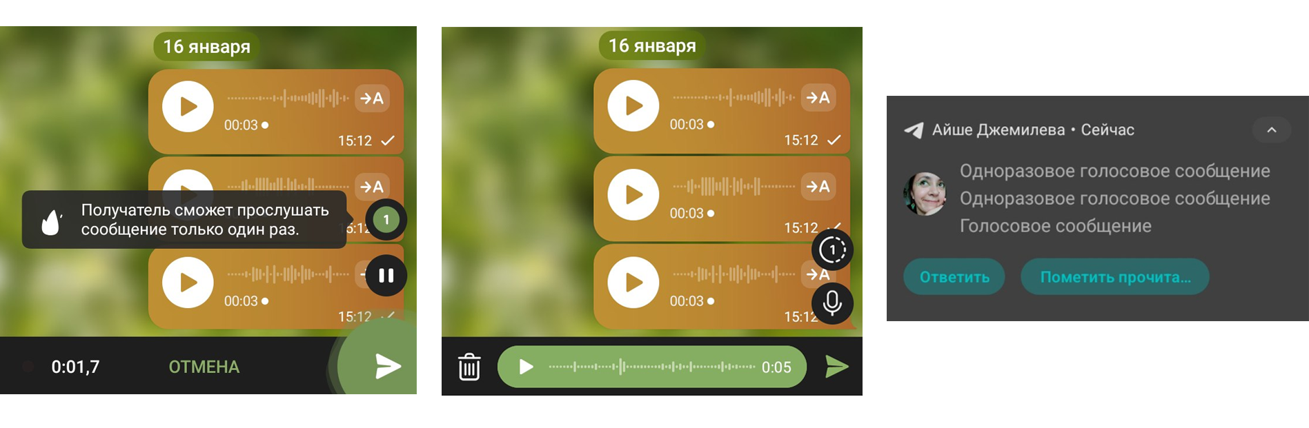 В Telegram появились одноразовые голосовые и видеосообщения - Новости  Timeweb Community