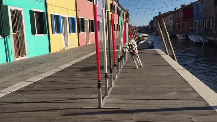 Пример работы нейросети Sora 2