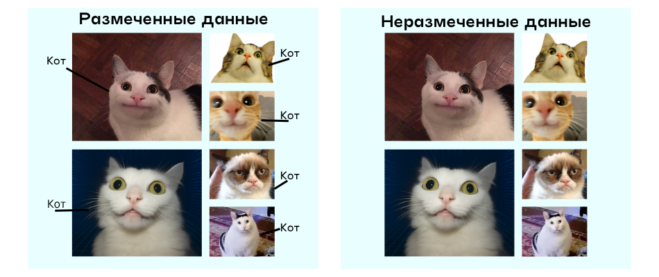 Размеченные и неразмеченные данные для обучения ИИ