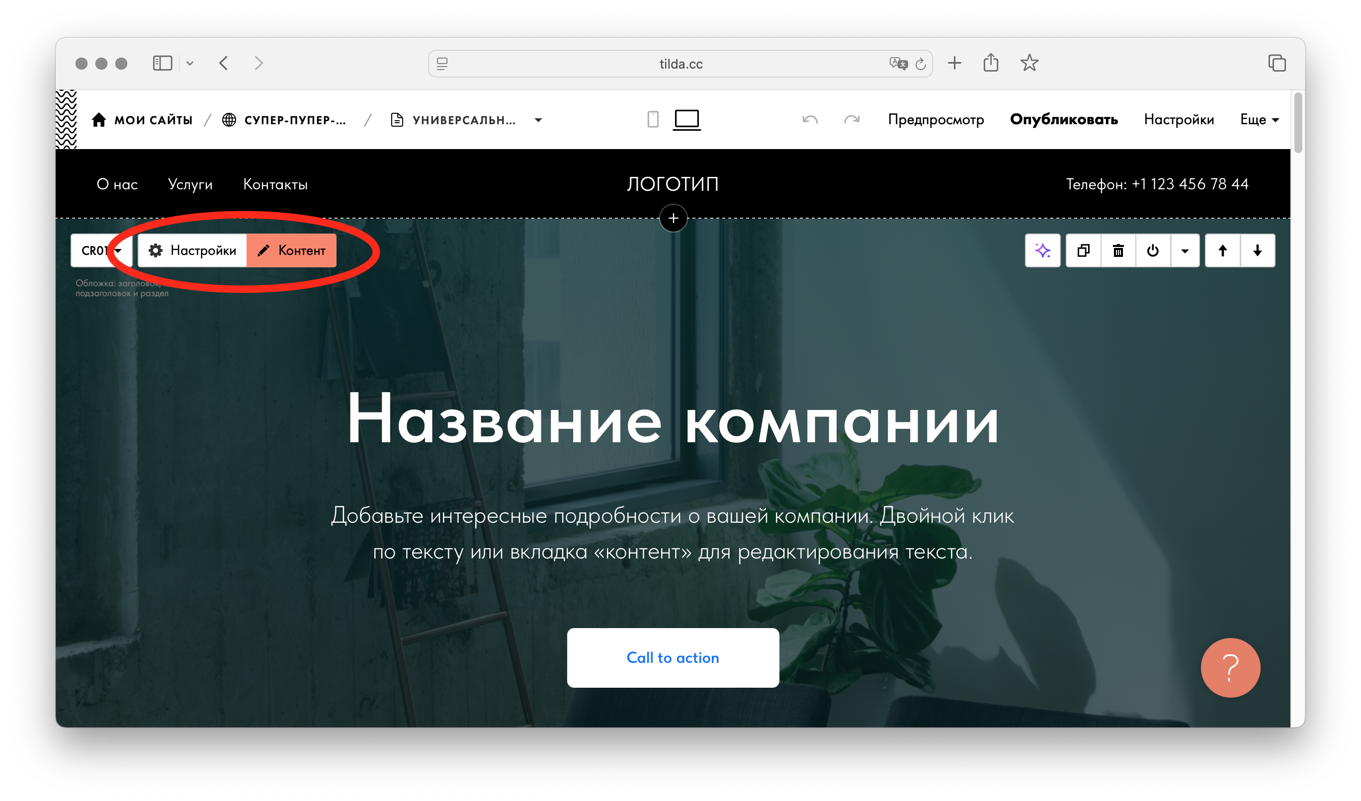 Настройки и Контент в Тильде