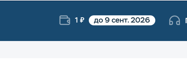 Кошелек в ПУ Timeweb