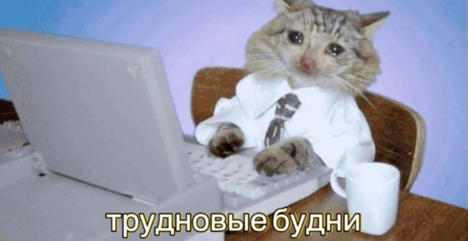 Почему SEO-специалисты больше не хватаются за голову?