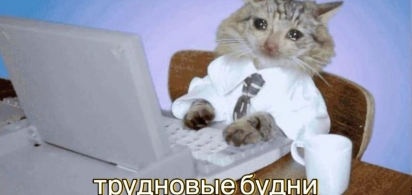 Почему SEO-специалисты больше не хватаются за голову?