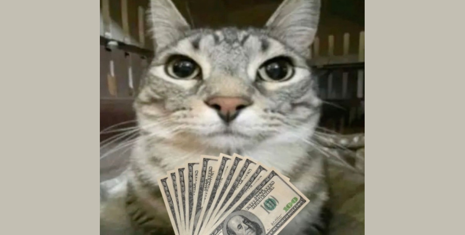 Почему дешевое SEO – самое дорогое?