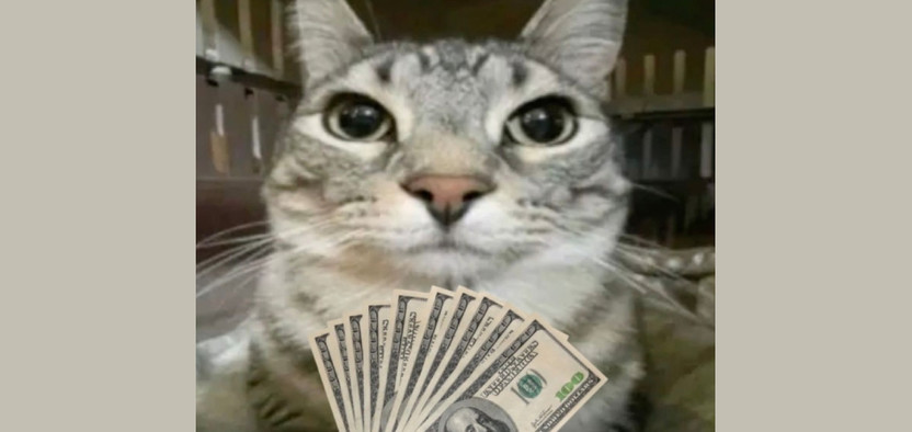 Почему дешевое SEO – самое дорогое?