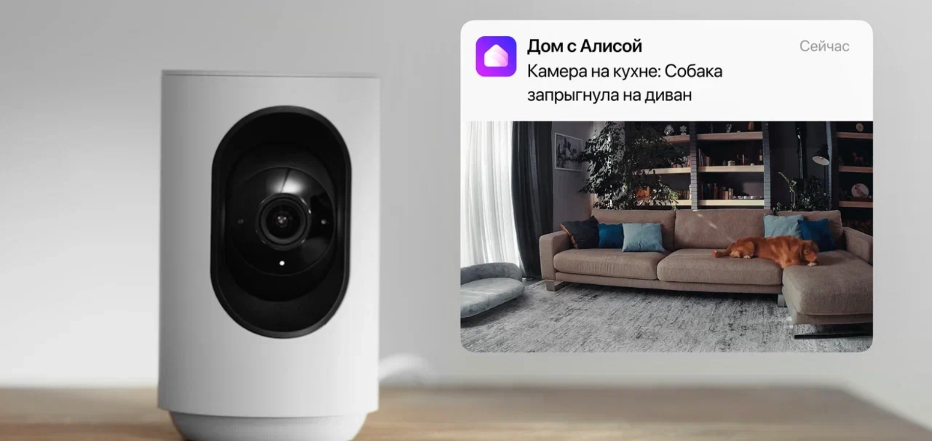 IP-камера Яндекса научилась описывать события, происходящие в кадре