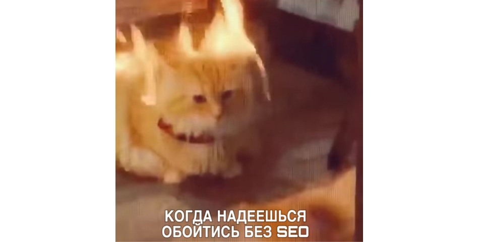 Ваш сайт – цифровой призрак? Почему без SEO бизнес невидим