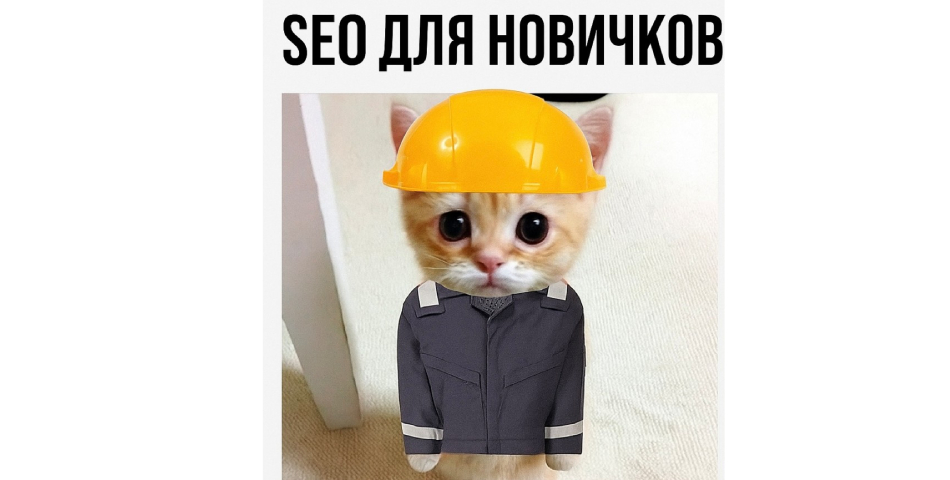 SEO-продвижение сайта что это такое и как оно работает для новичков