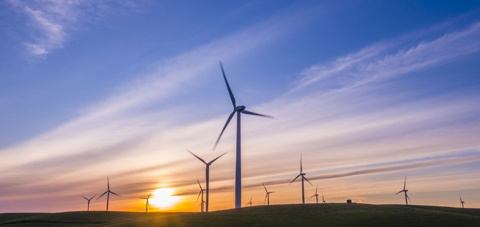 Один из дата-центров Яндекса станет работать на энергии ветра