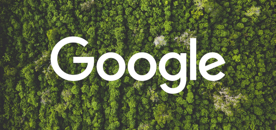 Google внедряет новые функции, связанные с экологией