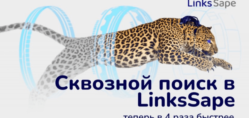 LinksSape упрощает работу со сквозными ссылками: мгновенный поиск сайтов и удобное управление