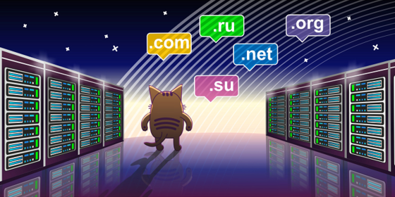 Почему нужно купить домен сегодня