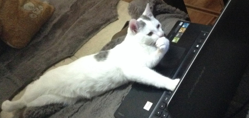 Где читать актуальные IT-новости? Выбор Комьюнити