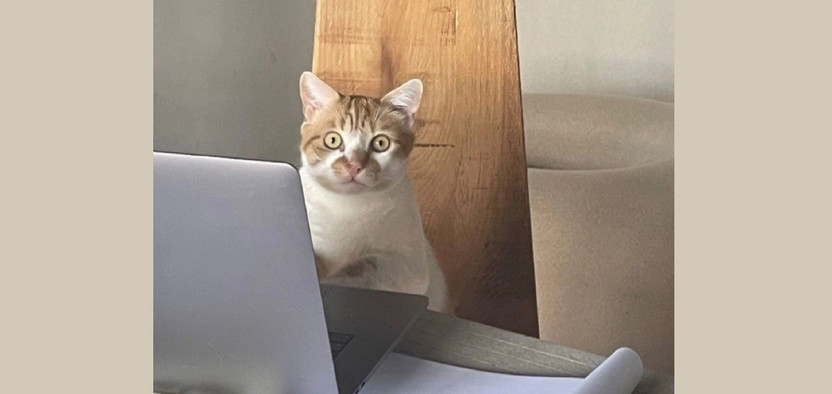 Главный маркер мошенника в SEO. Спорим, вы на него попадались?