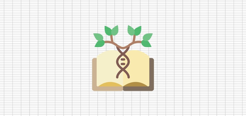Как создать генеалогическое древо в Microsoft Excel