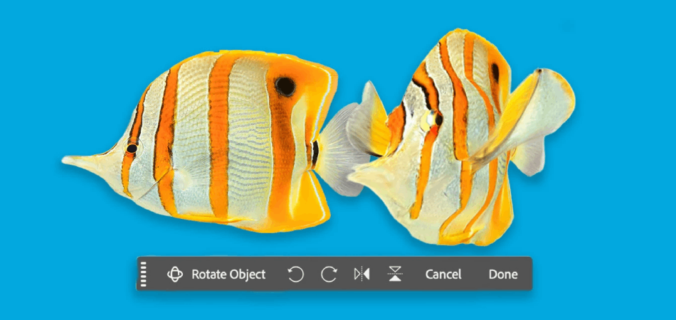 Adobe добавила в Photoshop функцию для преобразования двухмерных объектов в 3D-модели